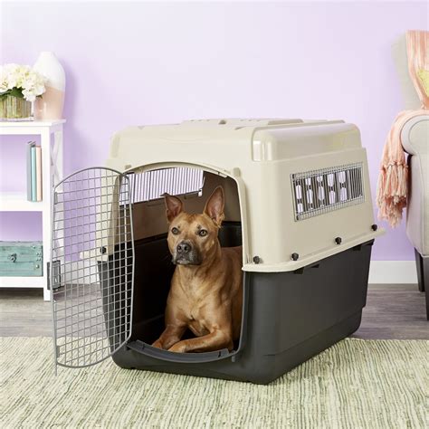 types of dog crates